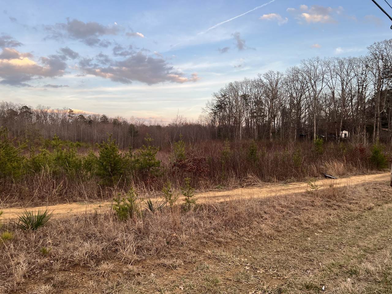 https://bt-photos.global.ssl.fastly.net/nashville/1280_boomver_1_RTC3139394-1.jpg