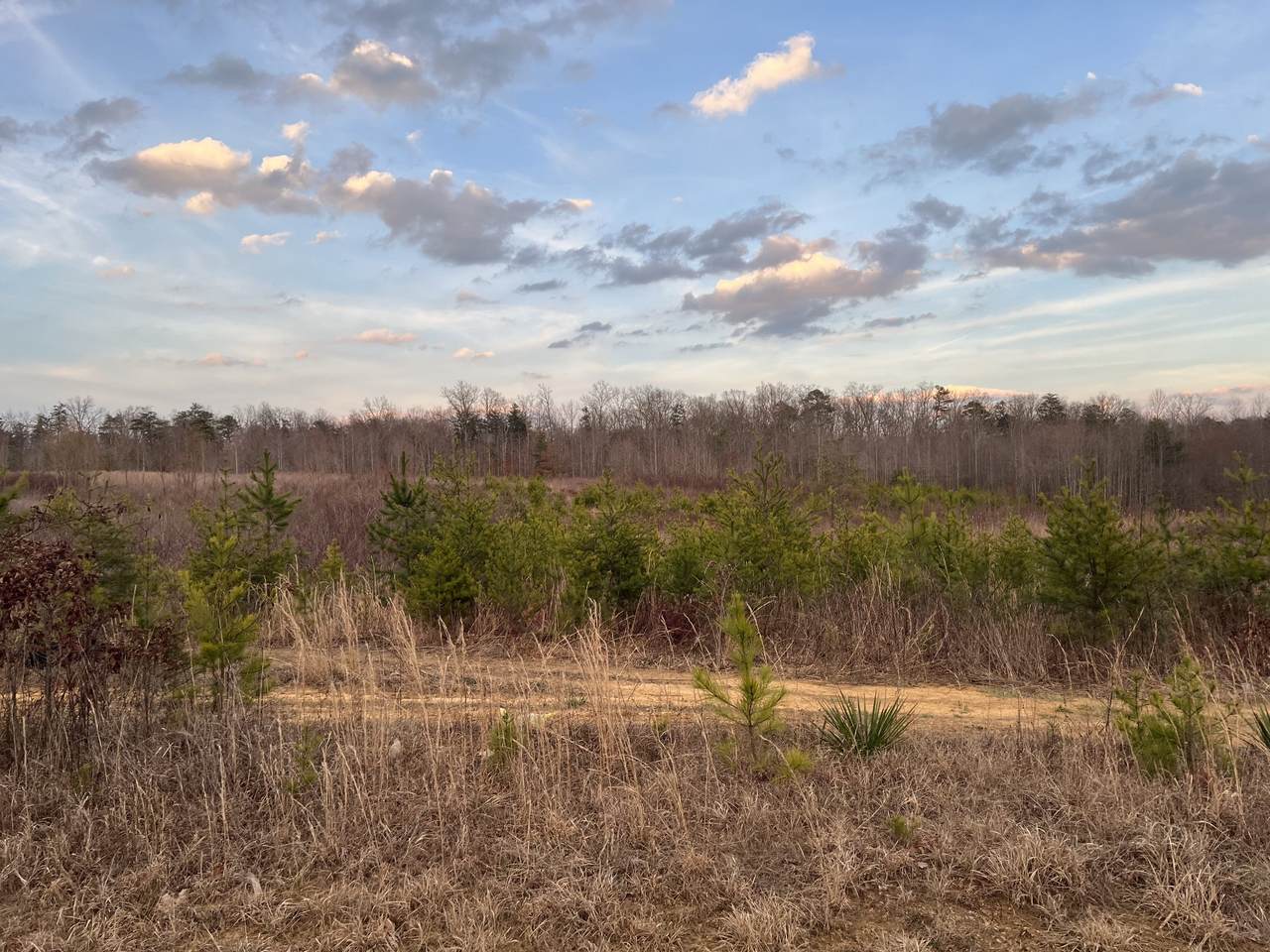 https://bt-photos.global.ssl.fastly.net/nashville/1280_boomver_1_RTC3139394-1.jpg
