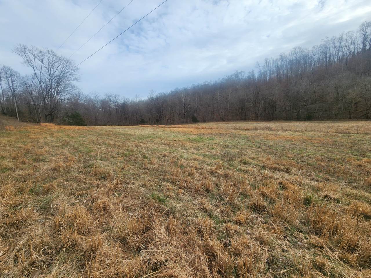 https://bt-photos.global.ssl.fastly.net/nashville/1280_boomver_1_RTC3139478-1.jpg