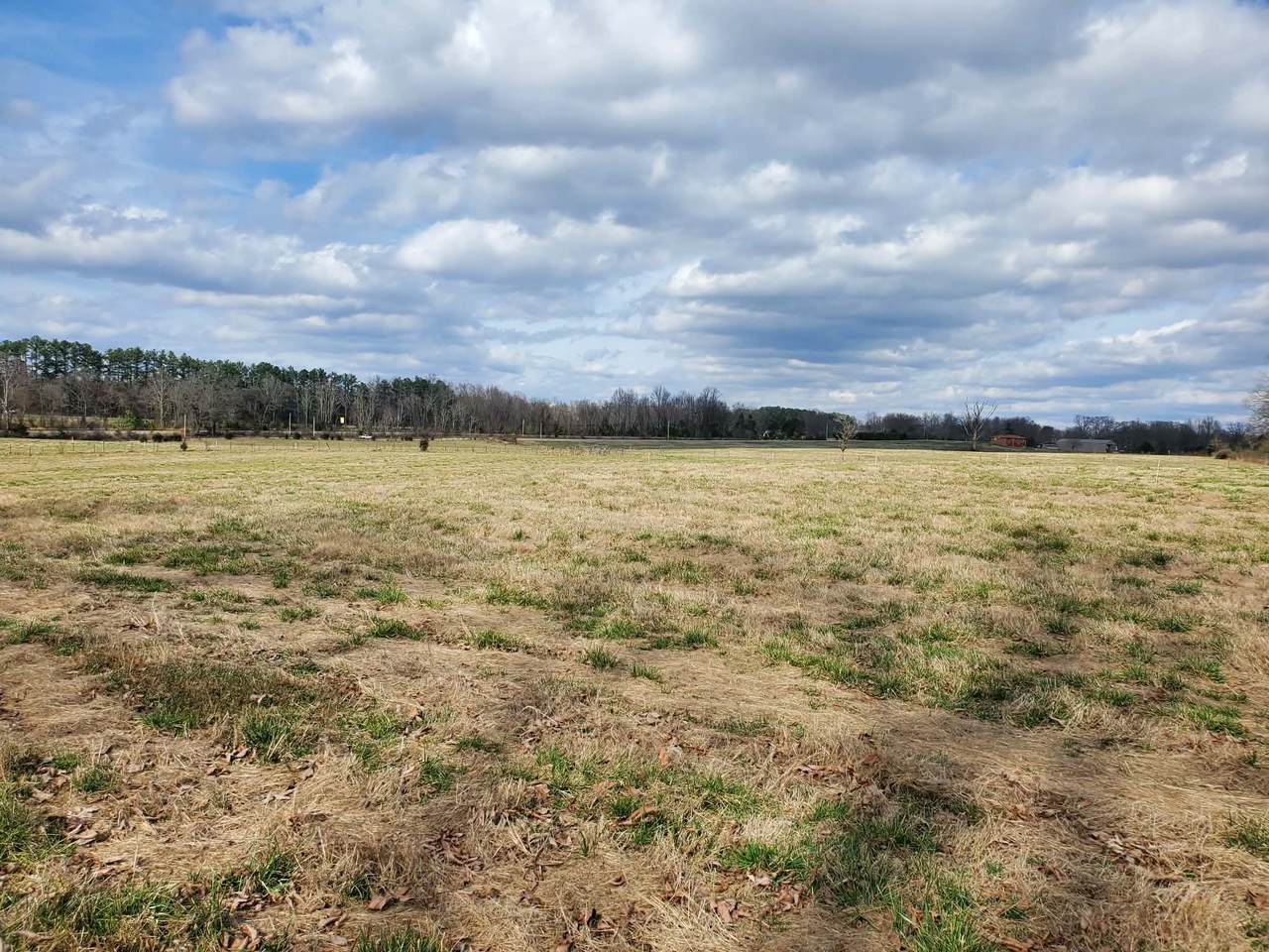 0 Arnold Thomas Rd - Photo 1
