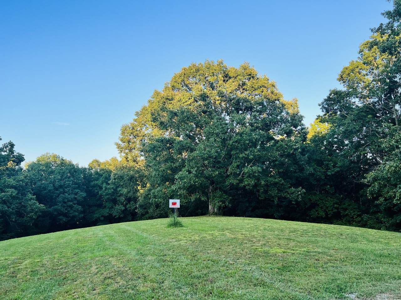 545 Deepwood Drive - Photo 1