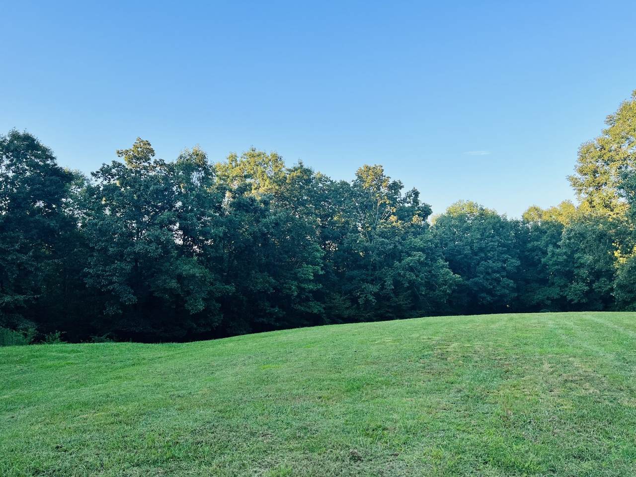 https://bt-photos.global.ssl.fastly.net/nashville/1280_boomver_1_RTC3139715-1.jpg