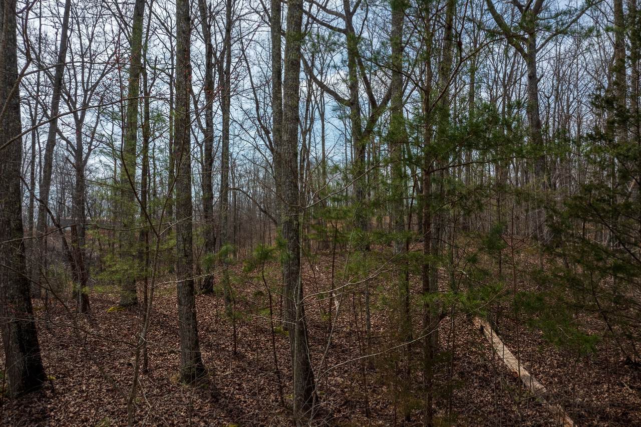 0 Paint Rock Valley Rd Off - Photo 1
