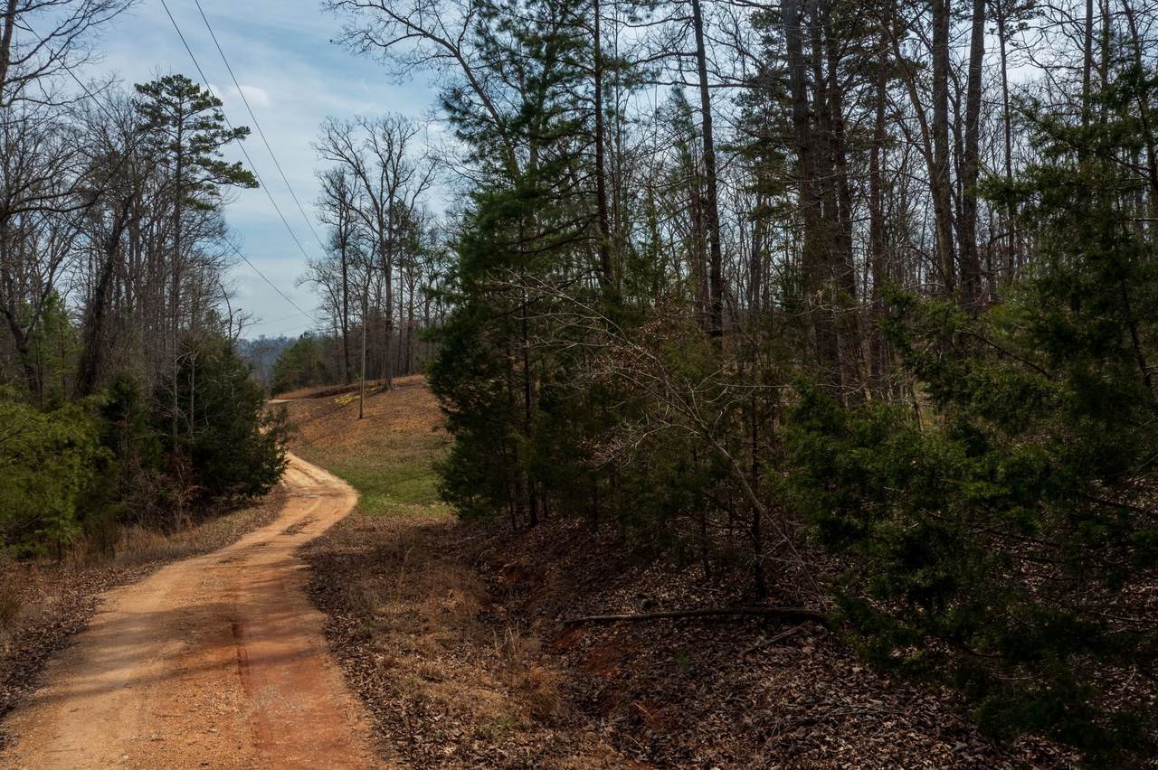 https://bt-photos.global.ssl.fastly.net/nashville/1280_boomver_1_RTC3139749-1.jpg