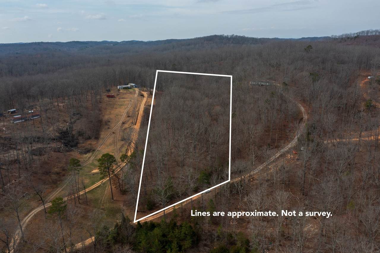 https://bt-photos.global.ssl.fastly.net/nashville/1280_boomver_1_RTC3139749-1.jpg