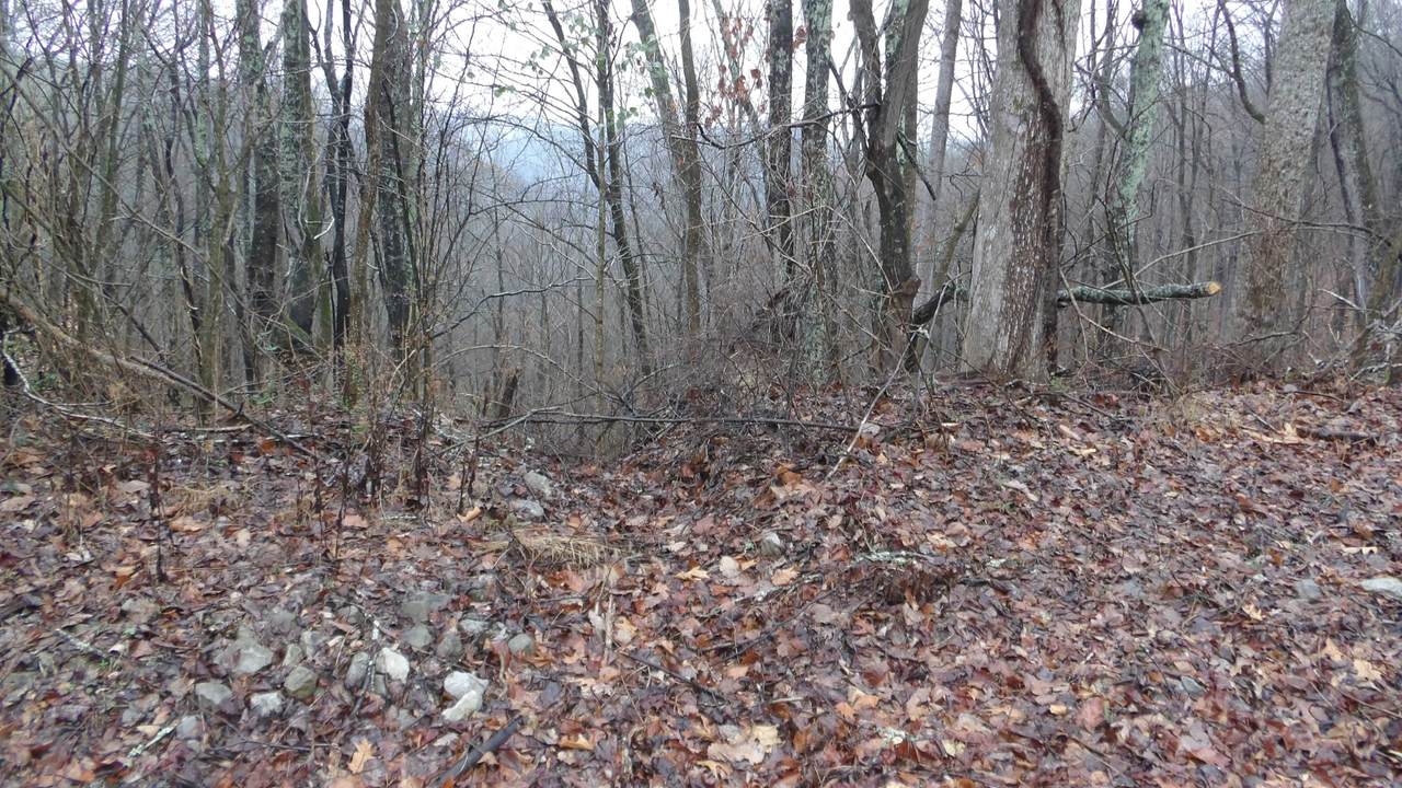 https://bt-photos.global.ssl.fastly.net/nashville/1280_boomver_1_RTC3139809-1.jpg