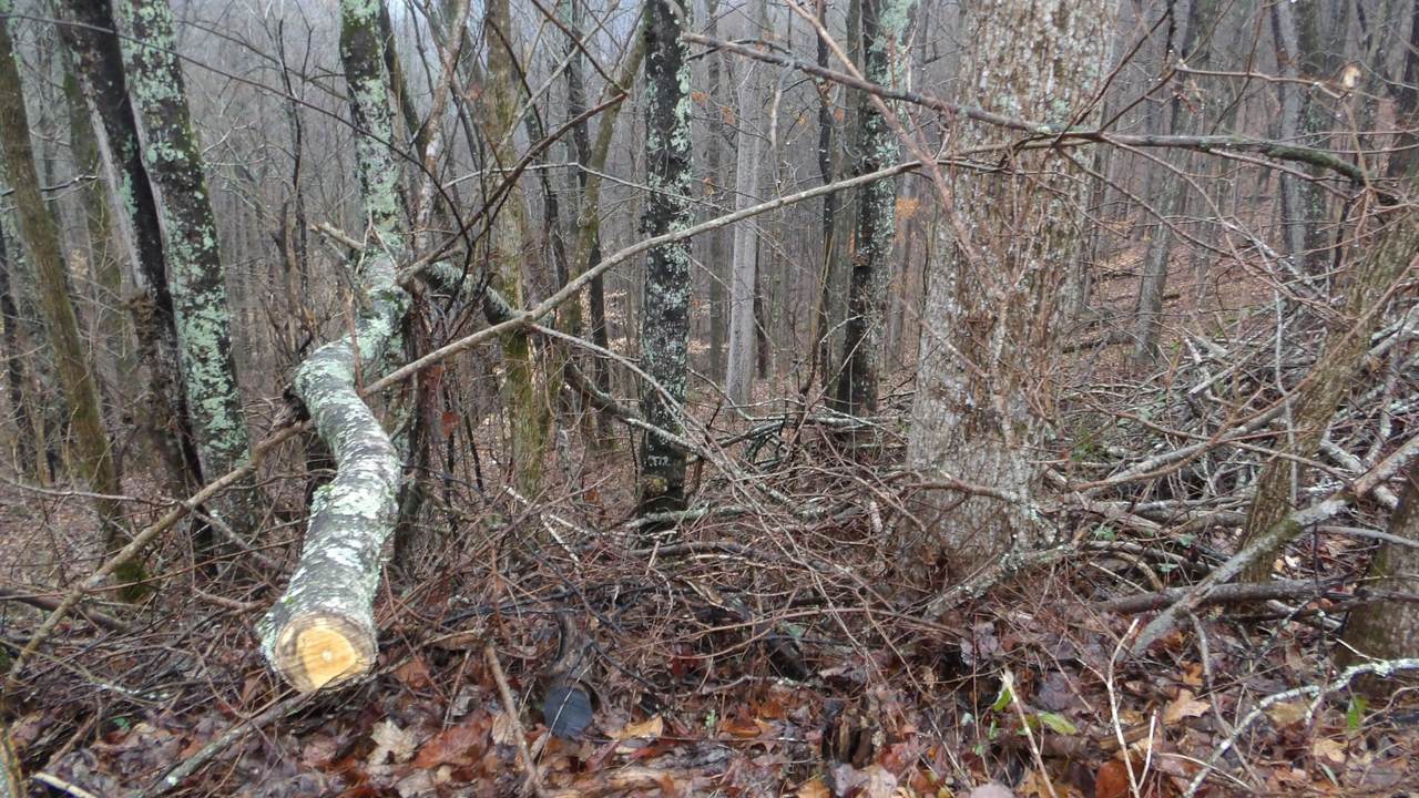 https://bt-photos.global.ssl.fastly.net/nashville/1280_boomver_1_RTC3139809-1.jpg
