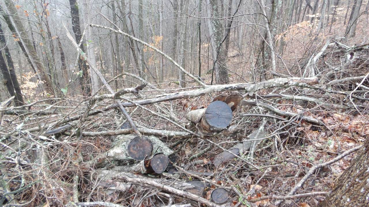 https://bt-photos.global.ssl.fastly.net/nashville/1280_boomver_1_RTC3139809-1.jpg