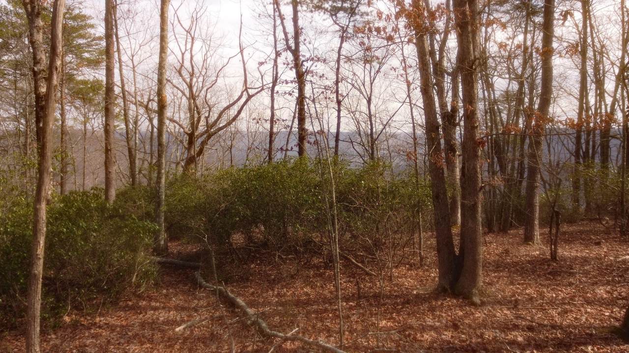 https://bt-photos.global.ssl.fastly.net/nashville/1280_boomver_1_RTC3143309-1.jpg
