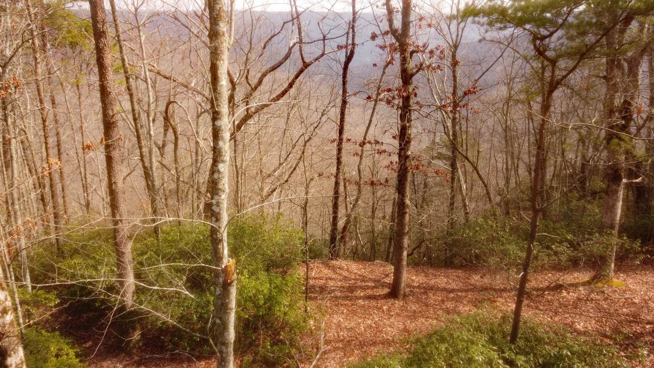 https://bt-photos.global.ssl.fastly.net/nashville/1280_boomver_1_RTC3143309-1.jpg