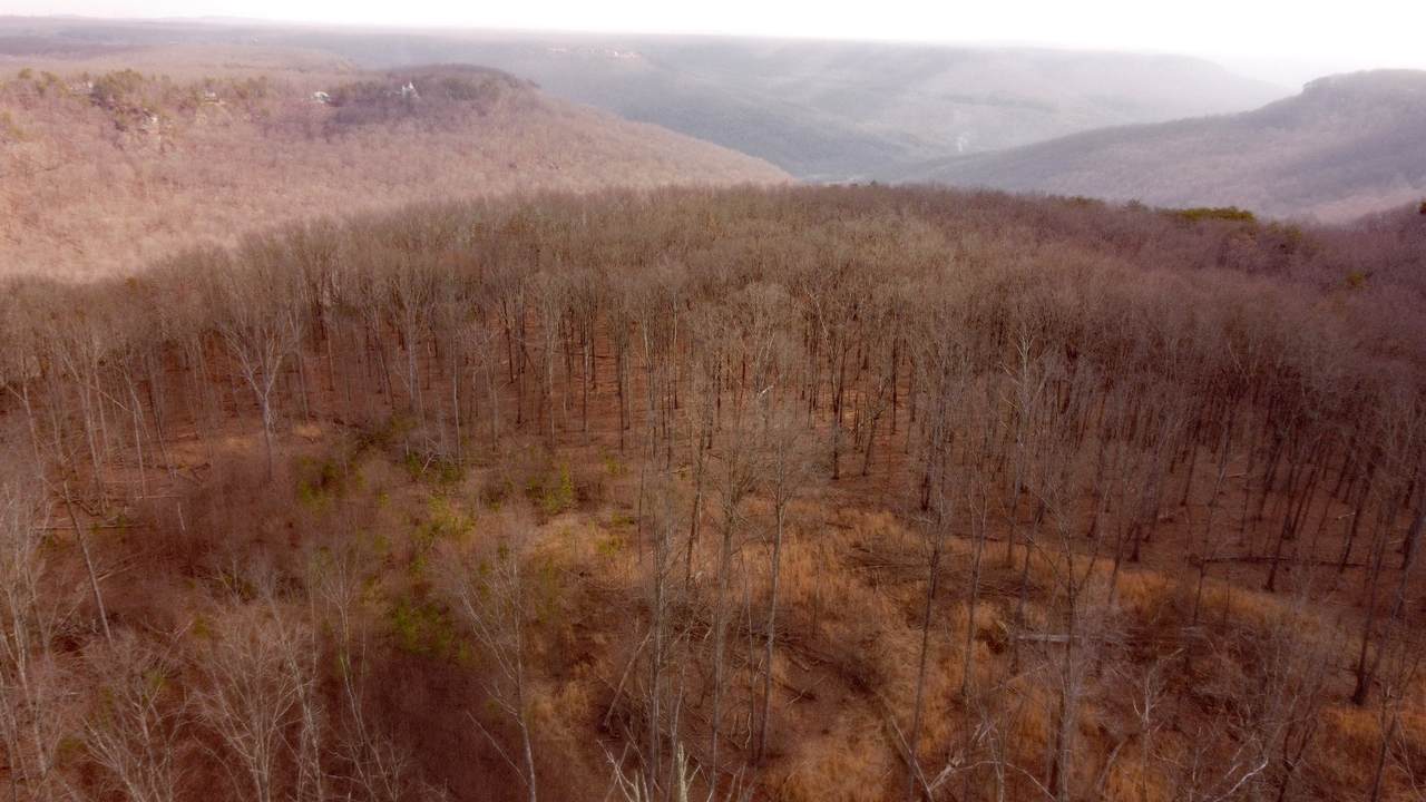 https://bt-photos.global.ssl.fastly.net/nashville/1280_boomver_1_RTC3143309-1.jpg