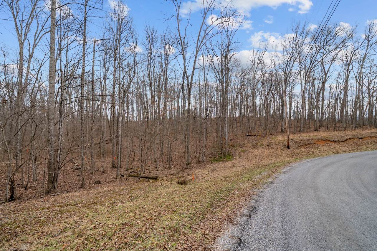 0 Creek Dr - Photo 1