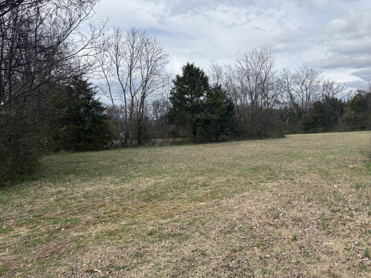 https://bt-photos.global.ssl.fastly.net/nashville/1280_boomver_1_RTC3143491-1.jpg