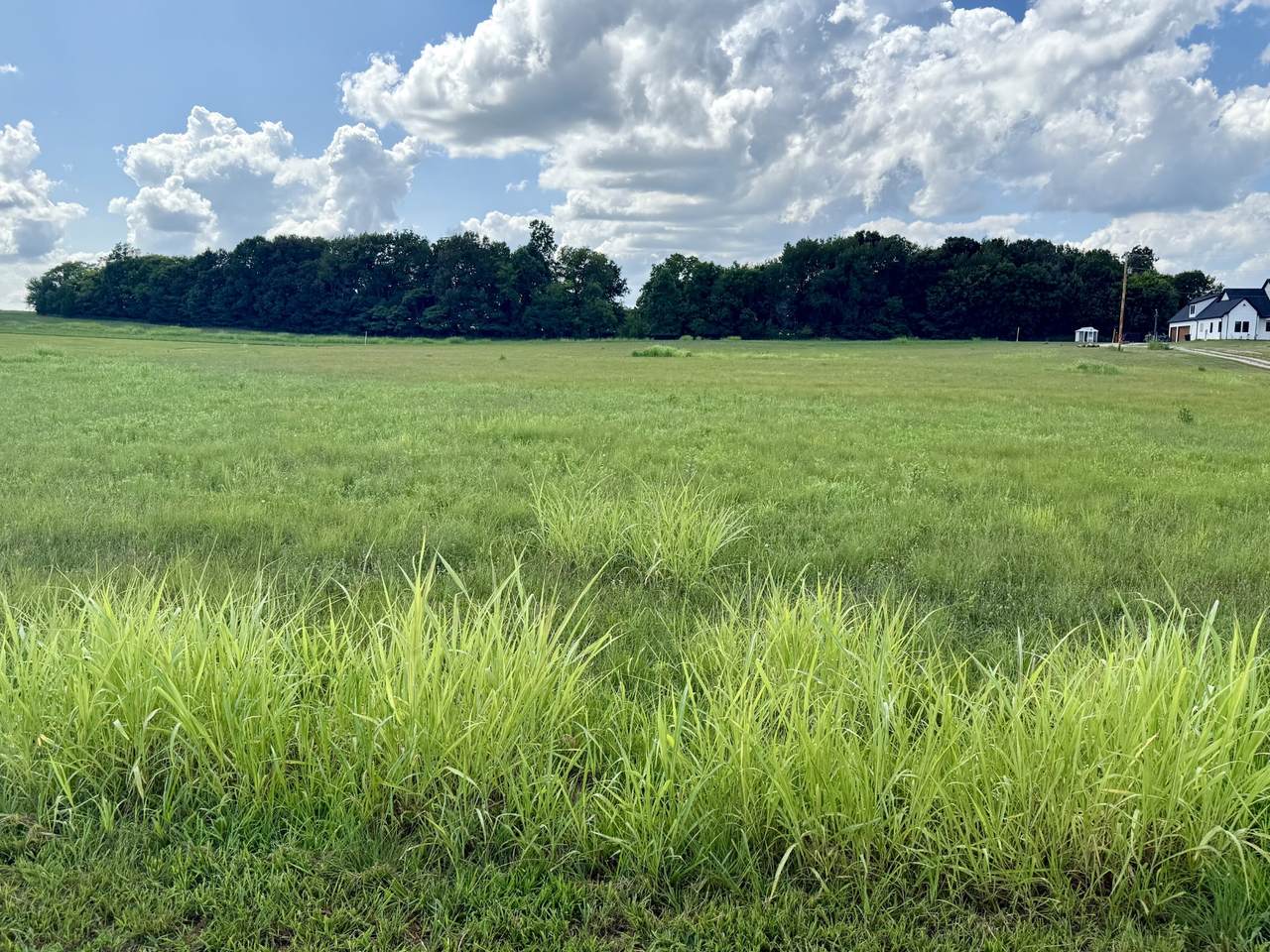 165 Perdue Cemetery Rd - Photo 1