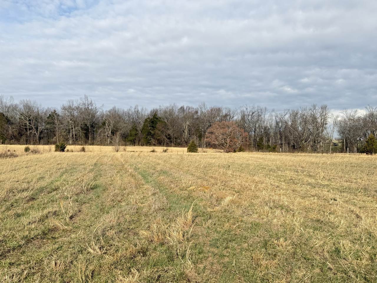 789 Mount Vernon Rd - Photo 1