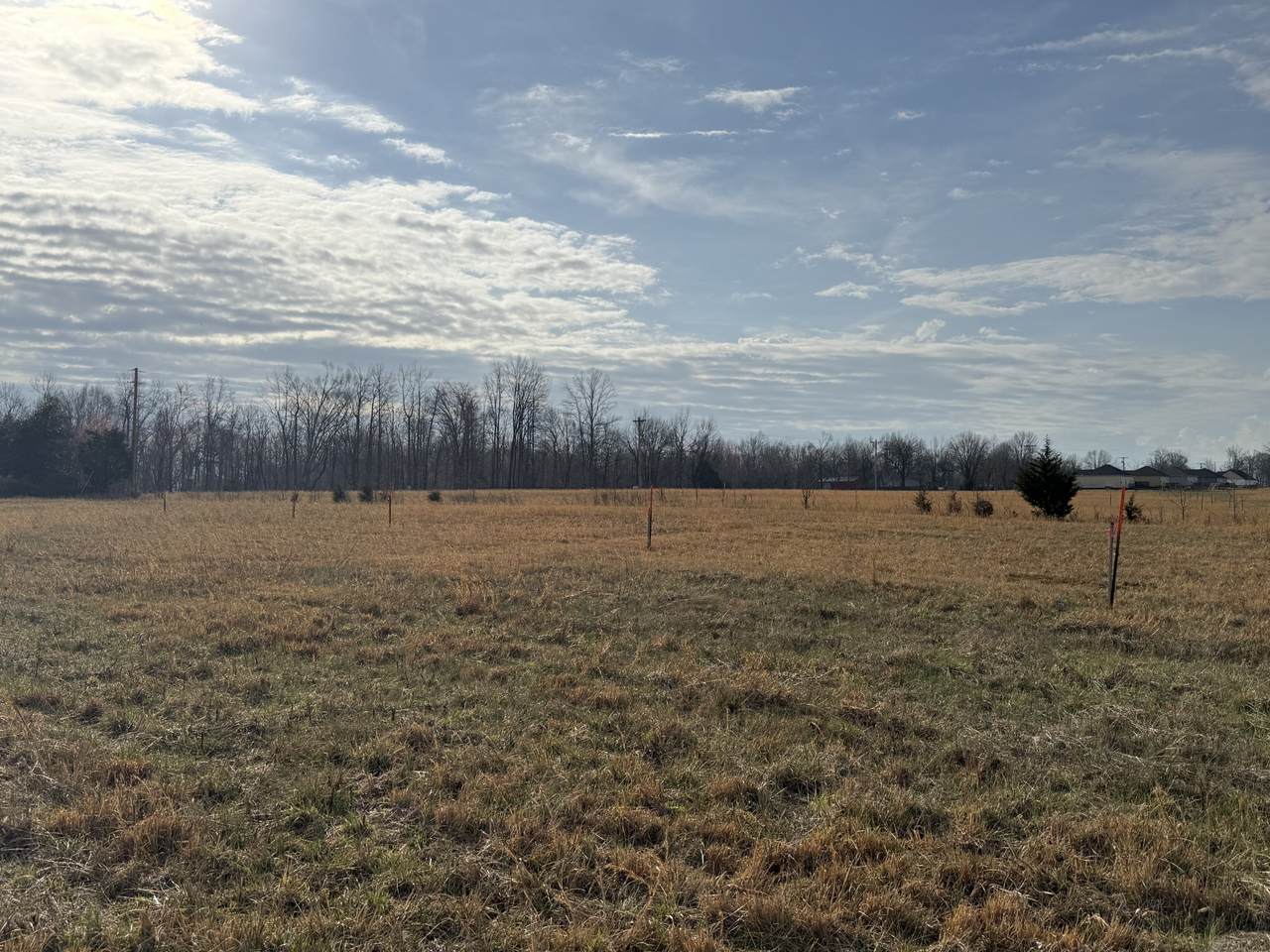 https://bt-photos.global.ssl.fastly.net/nashville/1280_boomver_1_RTC3145045-1.jpg