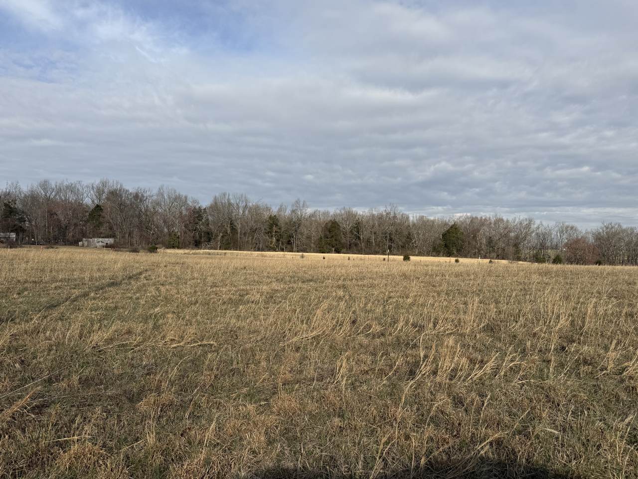 https://bt-photos.global.ssl.fastly.net/nashville/1280_boomver_1_RTC3145046-1.jpg