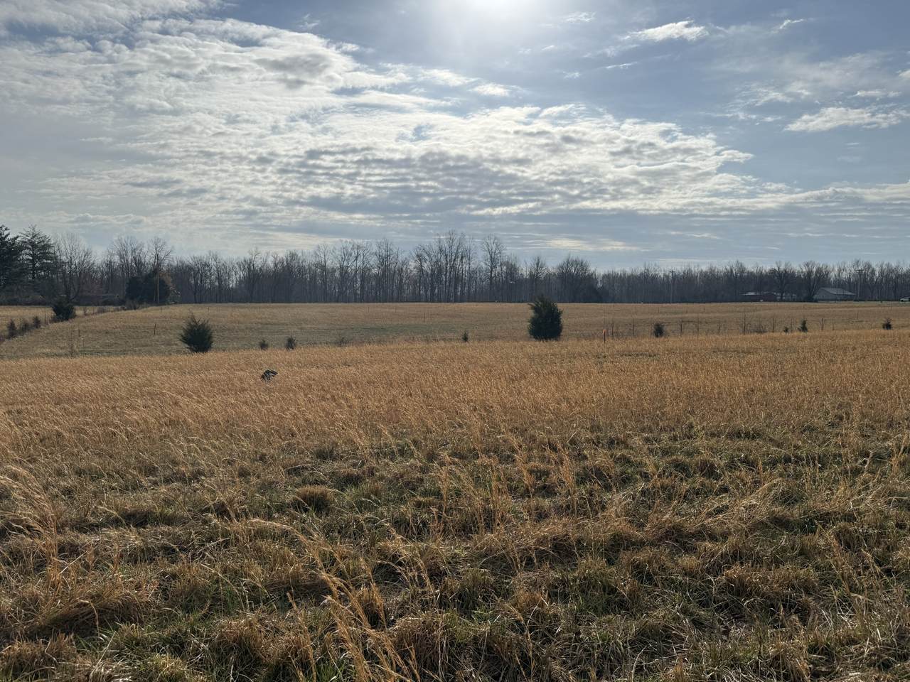 https://bt-photos.global.ssl.fastly.net/nashville/1280_boomver_1_RTC3145046-1.jpg