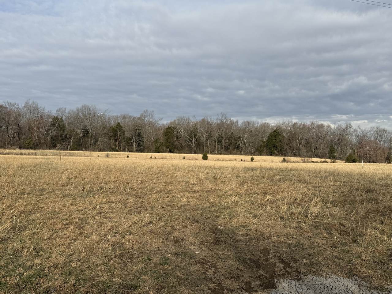 783 Mount Vernon Rd - Photo 1