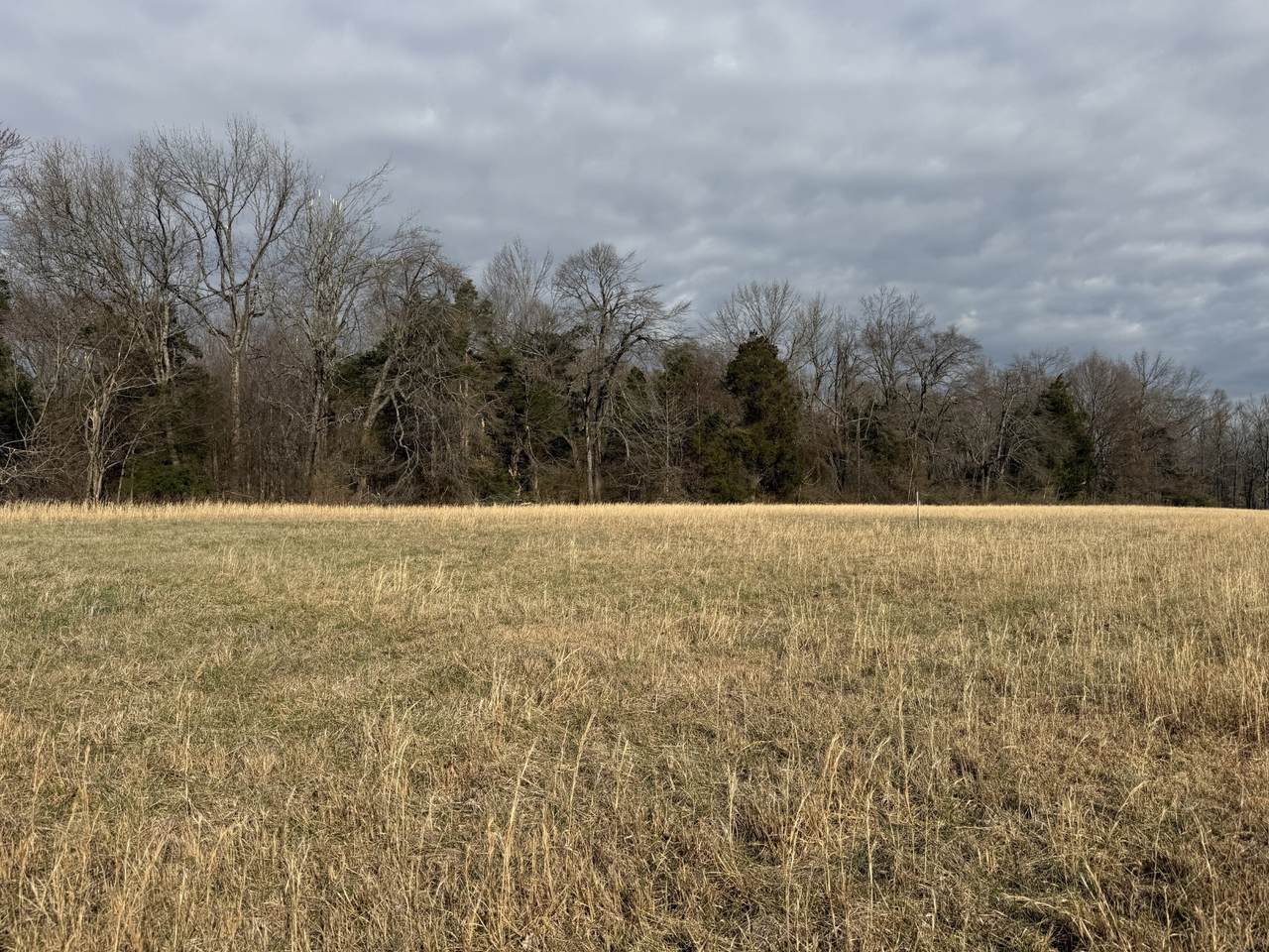 https://bt-photos.global.ssl.fastly.net/nashville/1280_boomver_1_RTC3145047-1.jpg