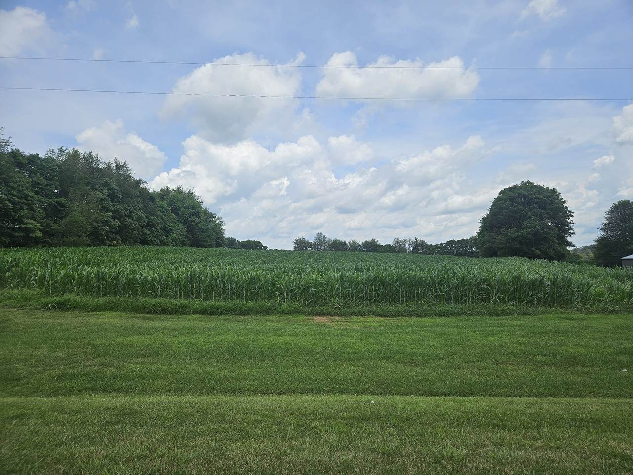0 Highway 52 West - Photo 1
