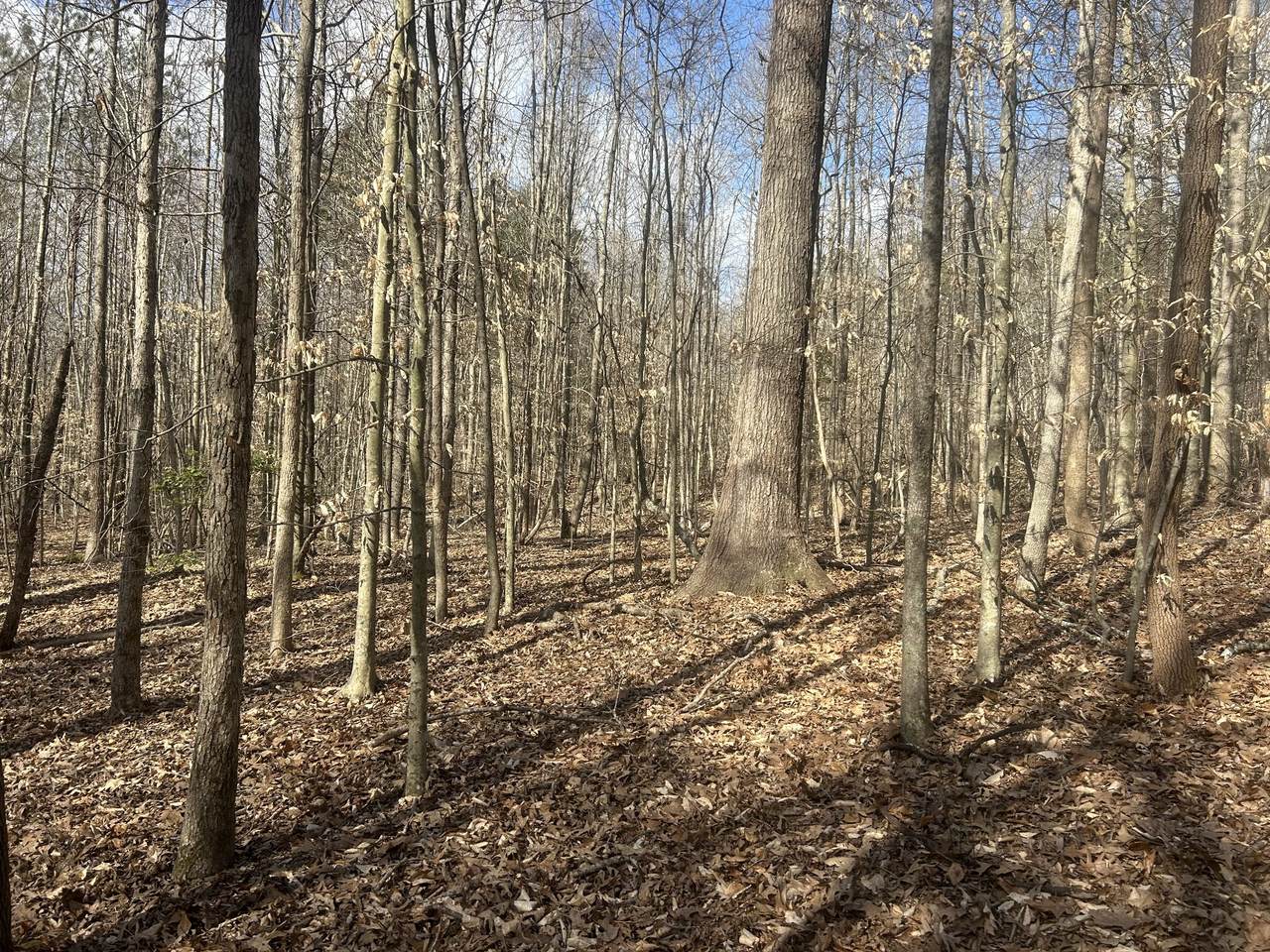 0 Mount Carmel Rd - Photo 1
