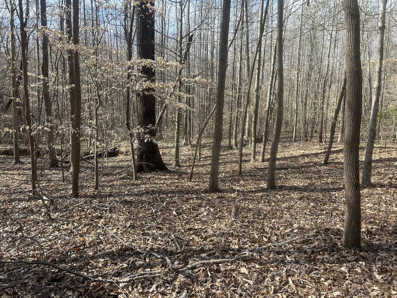 https://bt-photos.global.ssl.fastly.net/nashville/1280_boomver_1_RTC3145144-1.jpg
