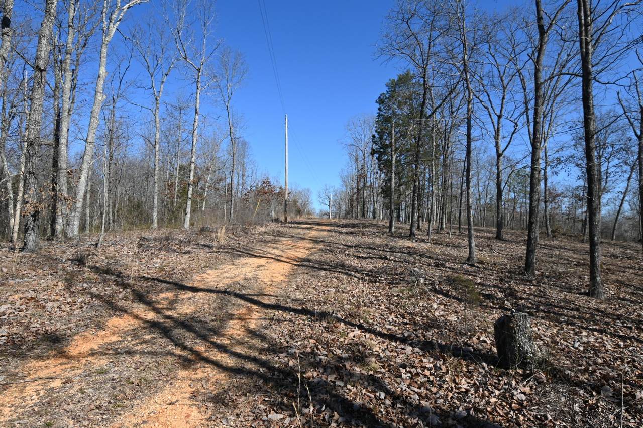 117 Wyatt Ln - Photo 1
