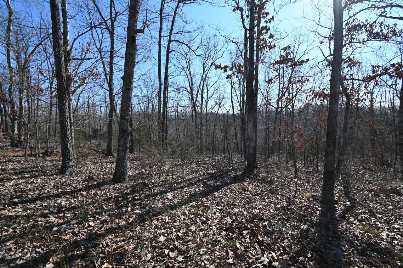 https://bt-photos.global.ssl.fastly.net/nashville/1280_boomver_1_RTC3145268-1.jpg
