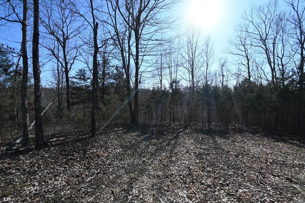 143 Wyatt Ln - Photo 1