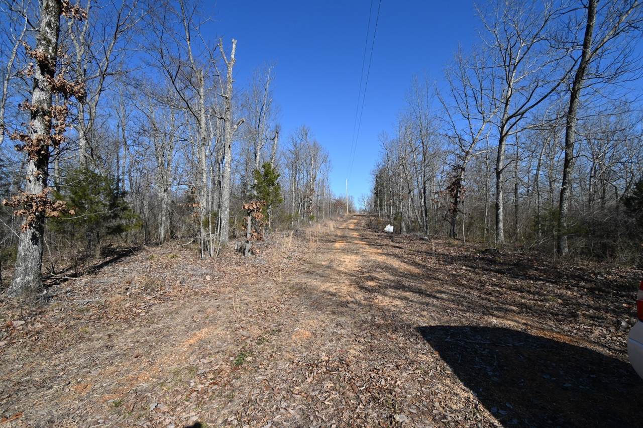 https://bt-photos.global.ssl.fastly.net/nashville/1280_boomver_1_RTC3145270-1.jpg