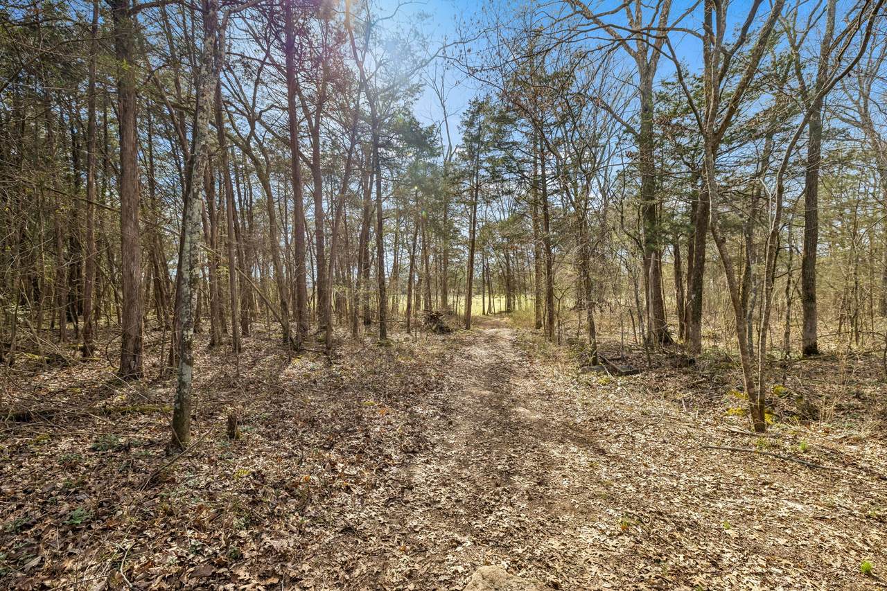 https://bt-photos.global.ssl.fastly.net/nashville/1280_boomver_1_RTC3145416-1.jpg