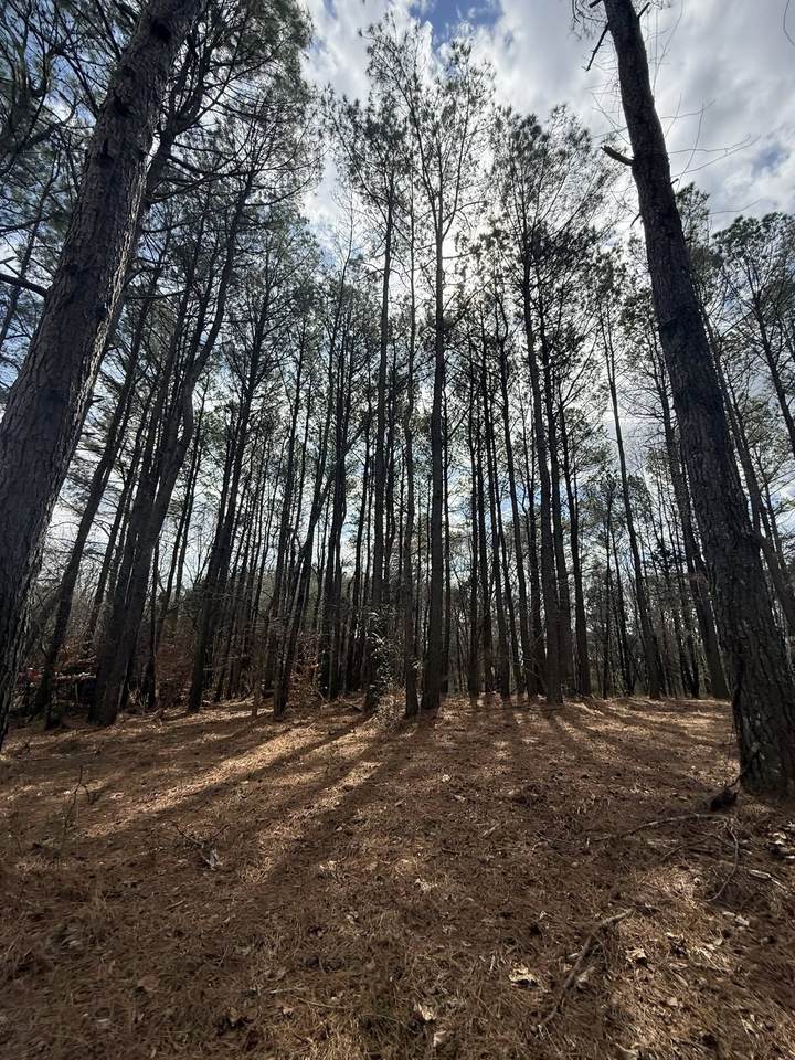 5583 Pedigap Rd - Photo 1