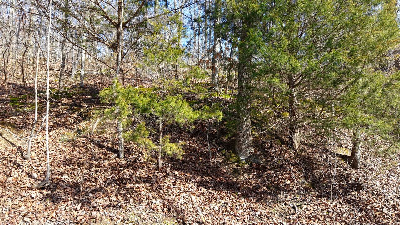https://bt-photos.global.ssl.fastly.net/nashville/1280_boomver_1_RTC3145592-1.jpg