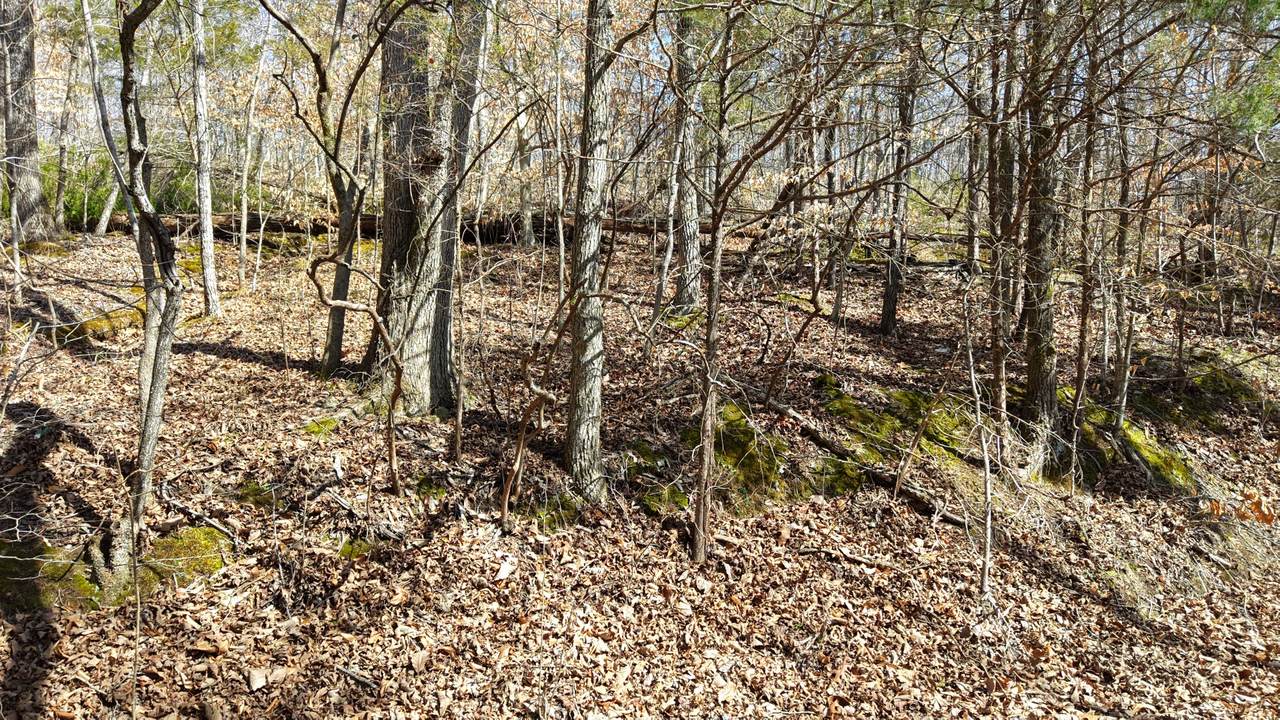 https://bt-photos.global.ssl.fastly.net/nashville/1280_boomver_1_RTC3145592-1.jpg