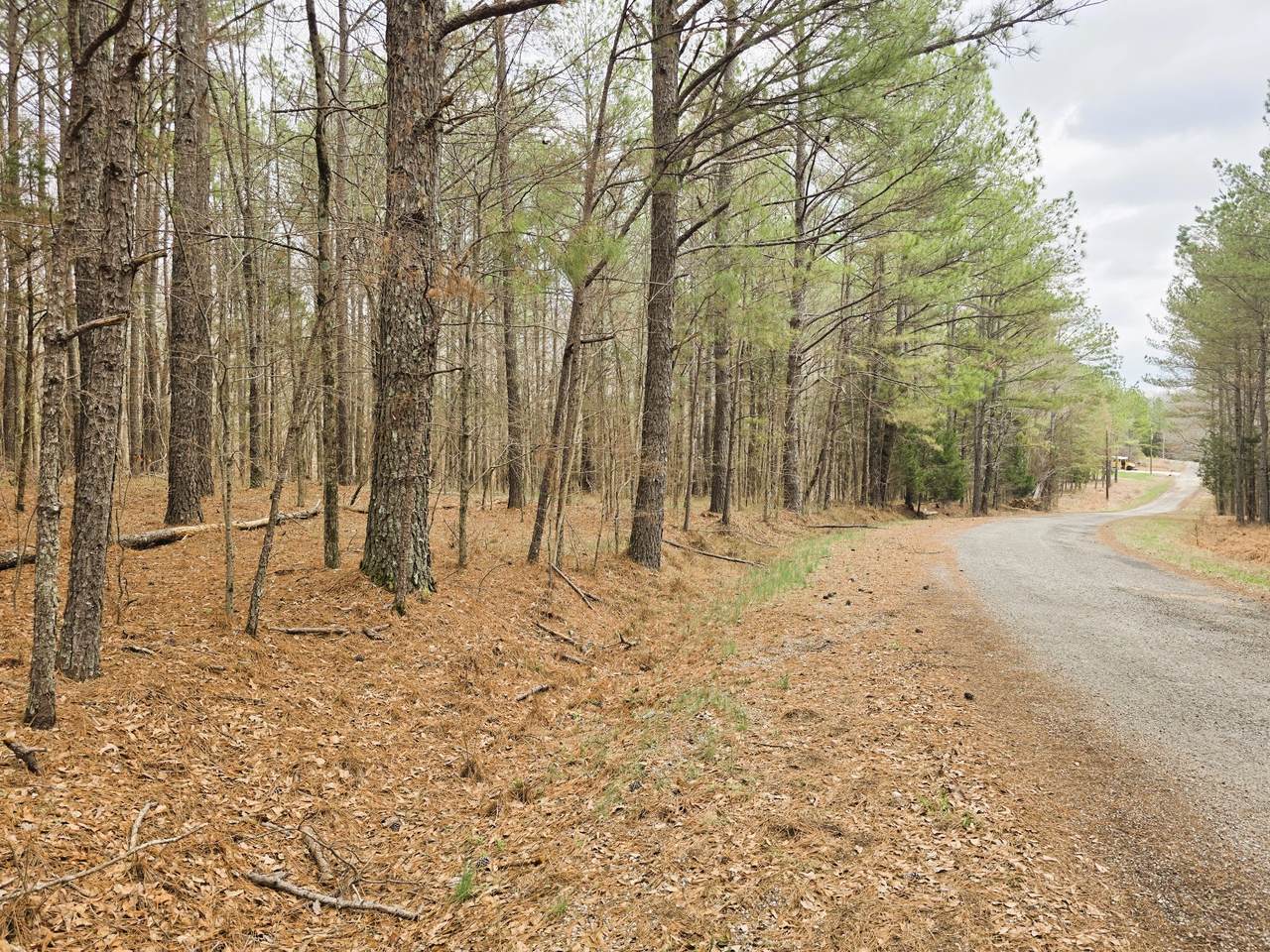 https://bt-photos.global.ssl.fastly.net/nashville/1280_boomver_1_RTC3145613-1.jpg