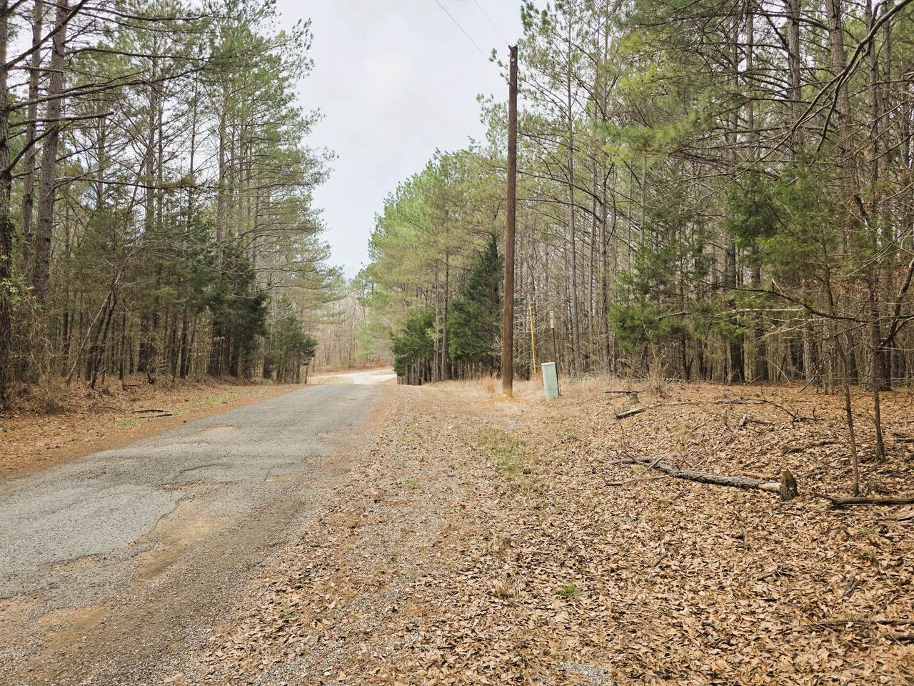 https://bt-photos.global.ssl.fastly.net/nashville/1280_boomver_1_RTC3145613-1.jpg
