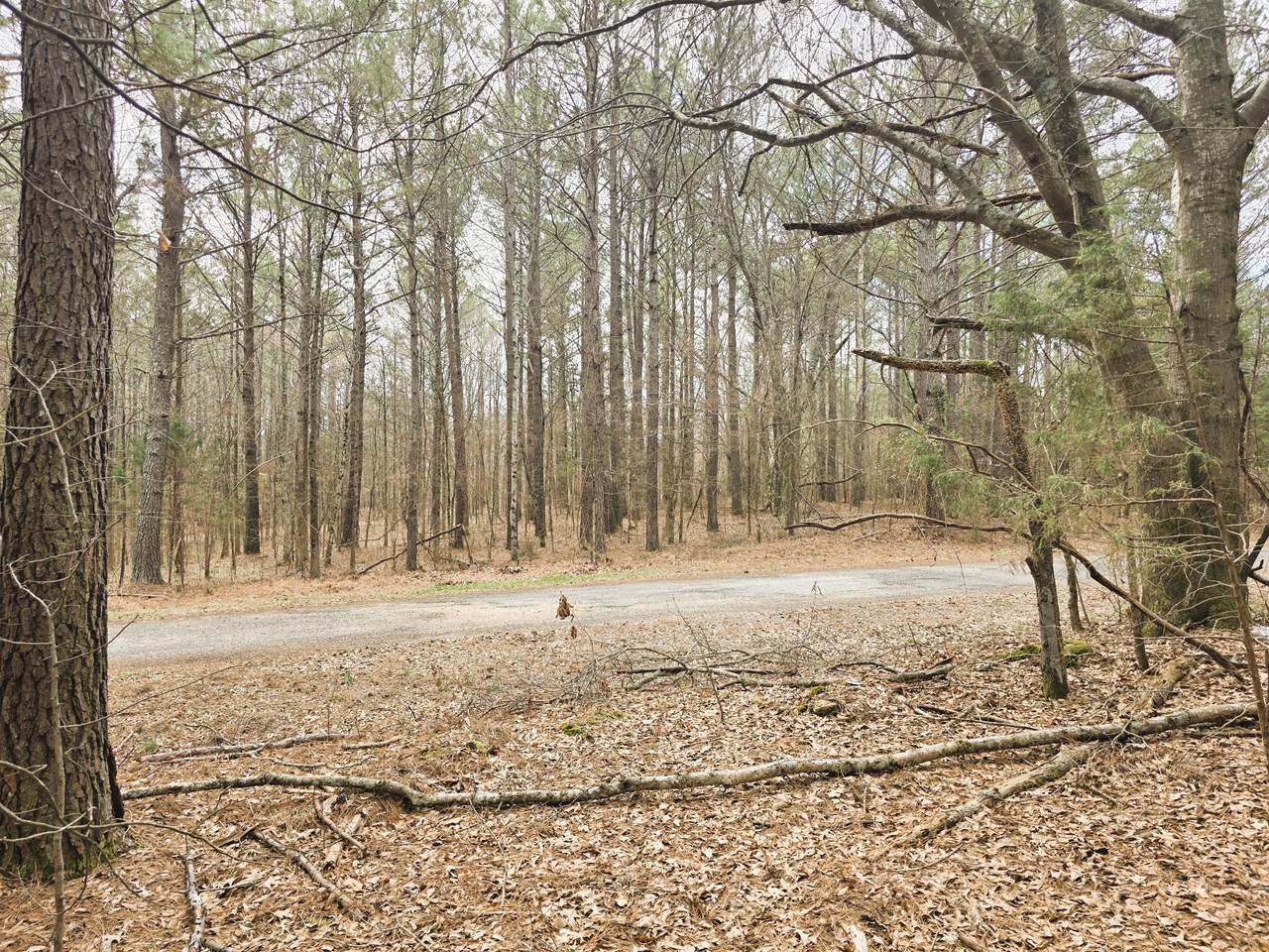 https://bt-photos.global.ssl.fastly.net/nashville/1280_boomver_1_RTC3145613-1.jpg