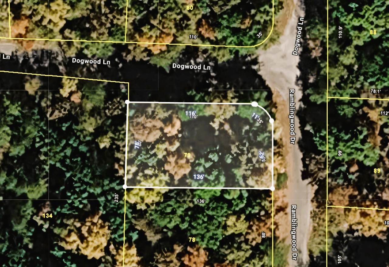 0 Ramblingwood Dr - Photo 1