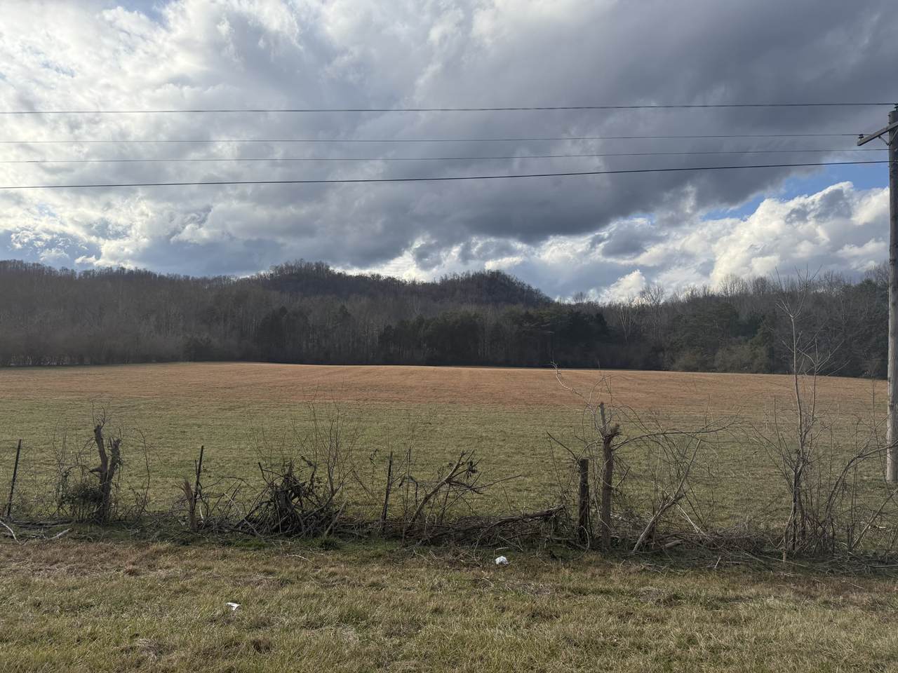 0 North Grundy Quarles Hwy - Photo 1