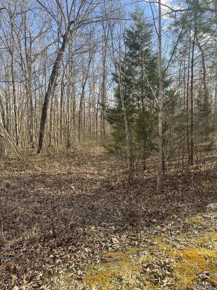 0 Boyton Valley Rd - Photo 1