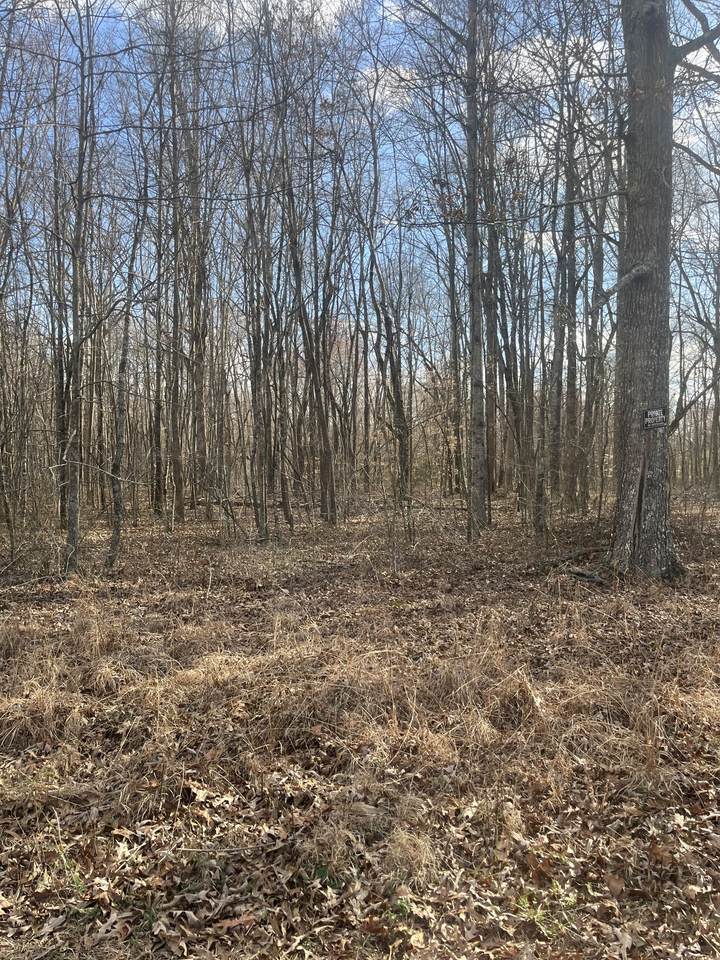 0 Boynton Valley Rd - Photo 1