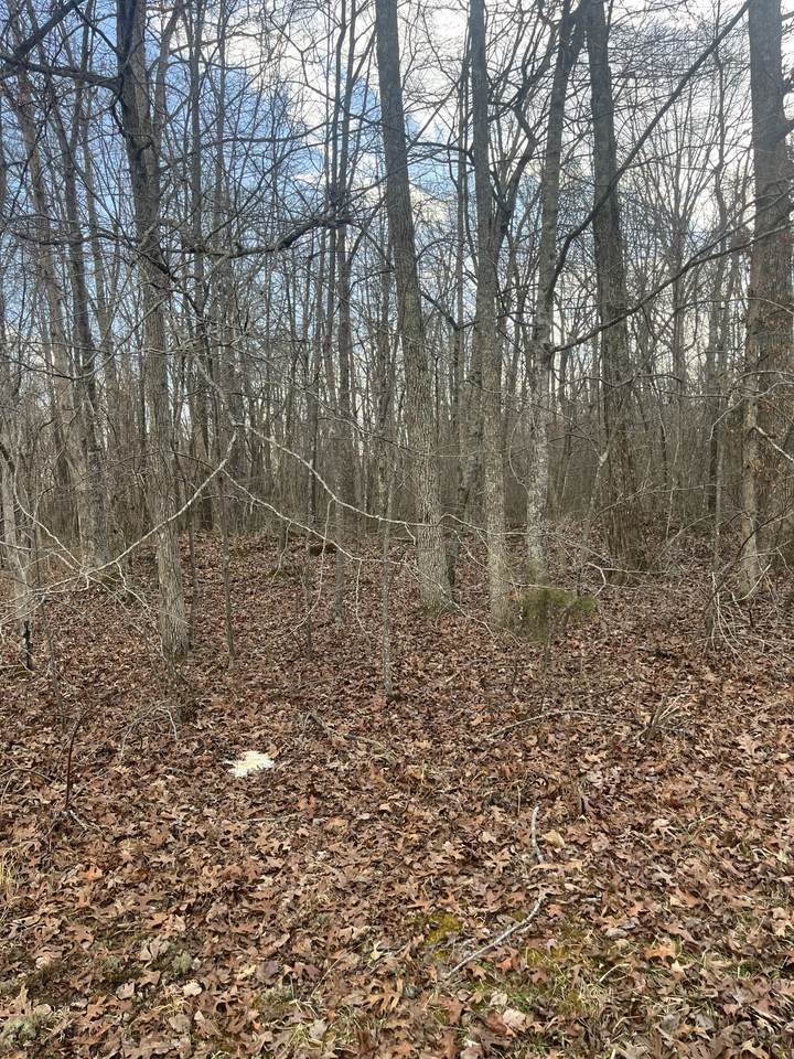0 Boynton Valley Rd - Photo 1