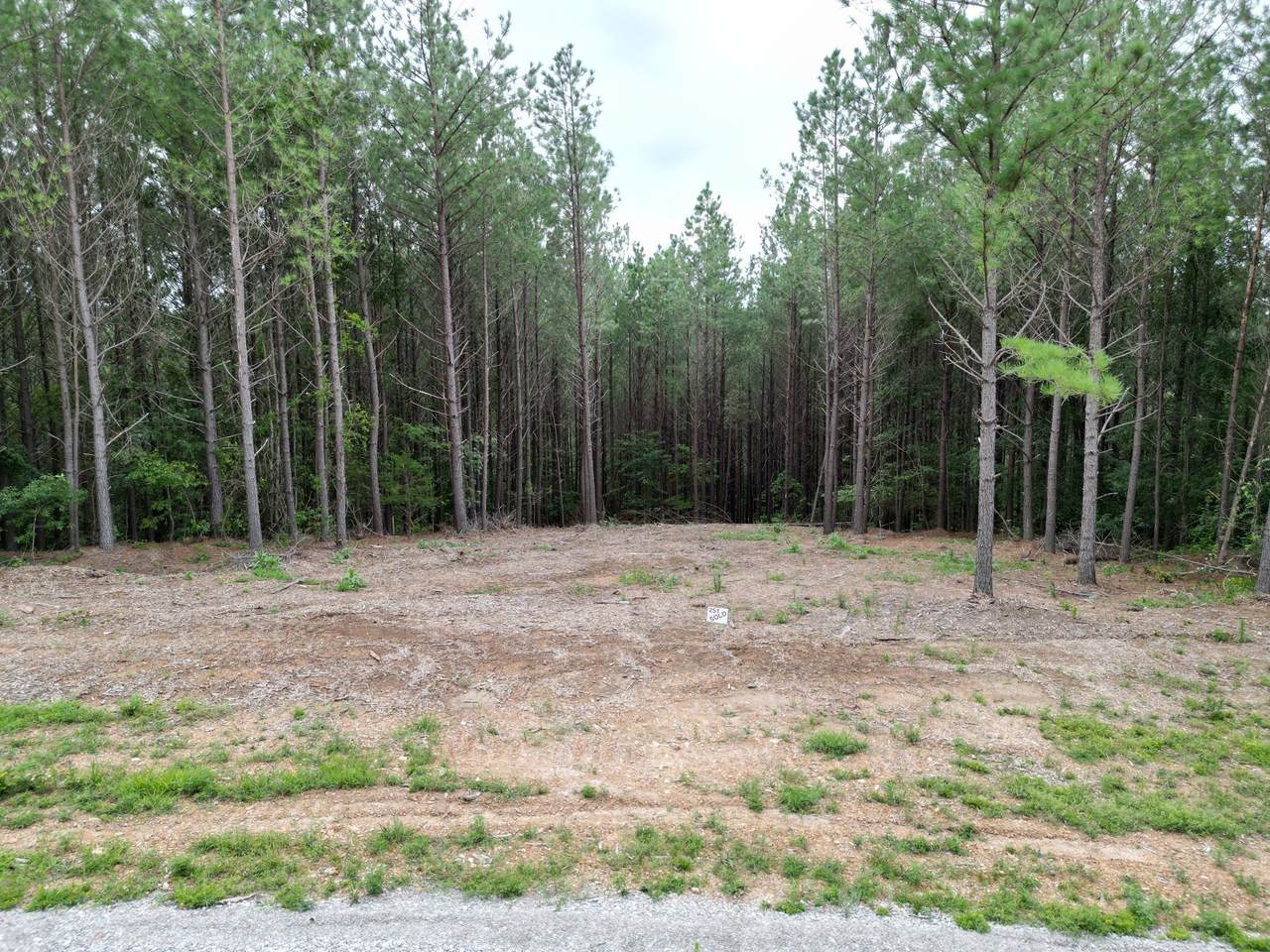 297 Ashwood Dr - Photo 1