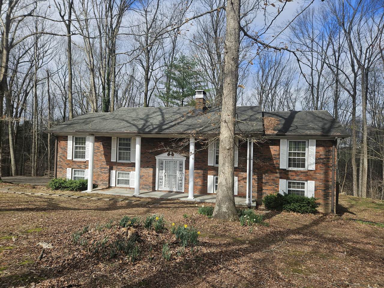 1581 Galen Rd - Photo 1
