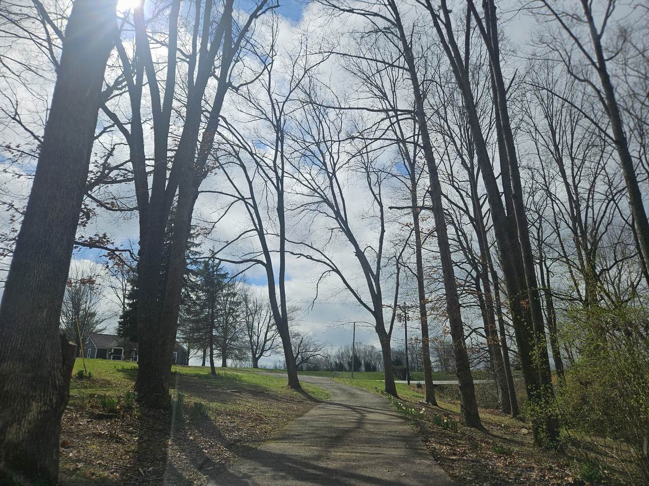 https://bt-photos.global.ssl.fastly.net/nashville/1280_boomver_1_RTC3146332-1.jpg