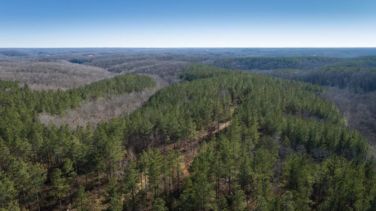 0 Mayfield Divide Rd - Photo 1