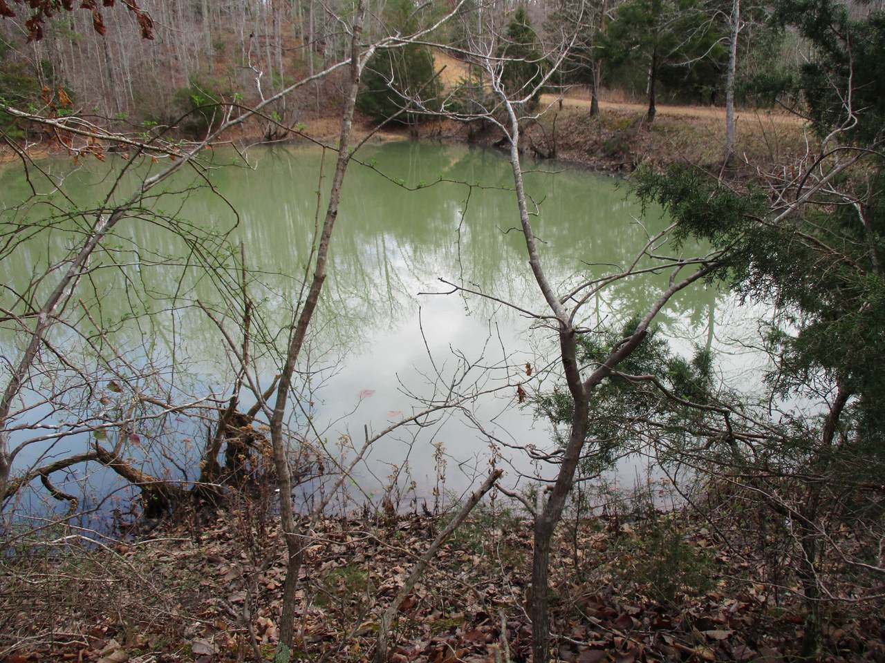 0 Split Lake Drive - Photo 1