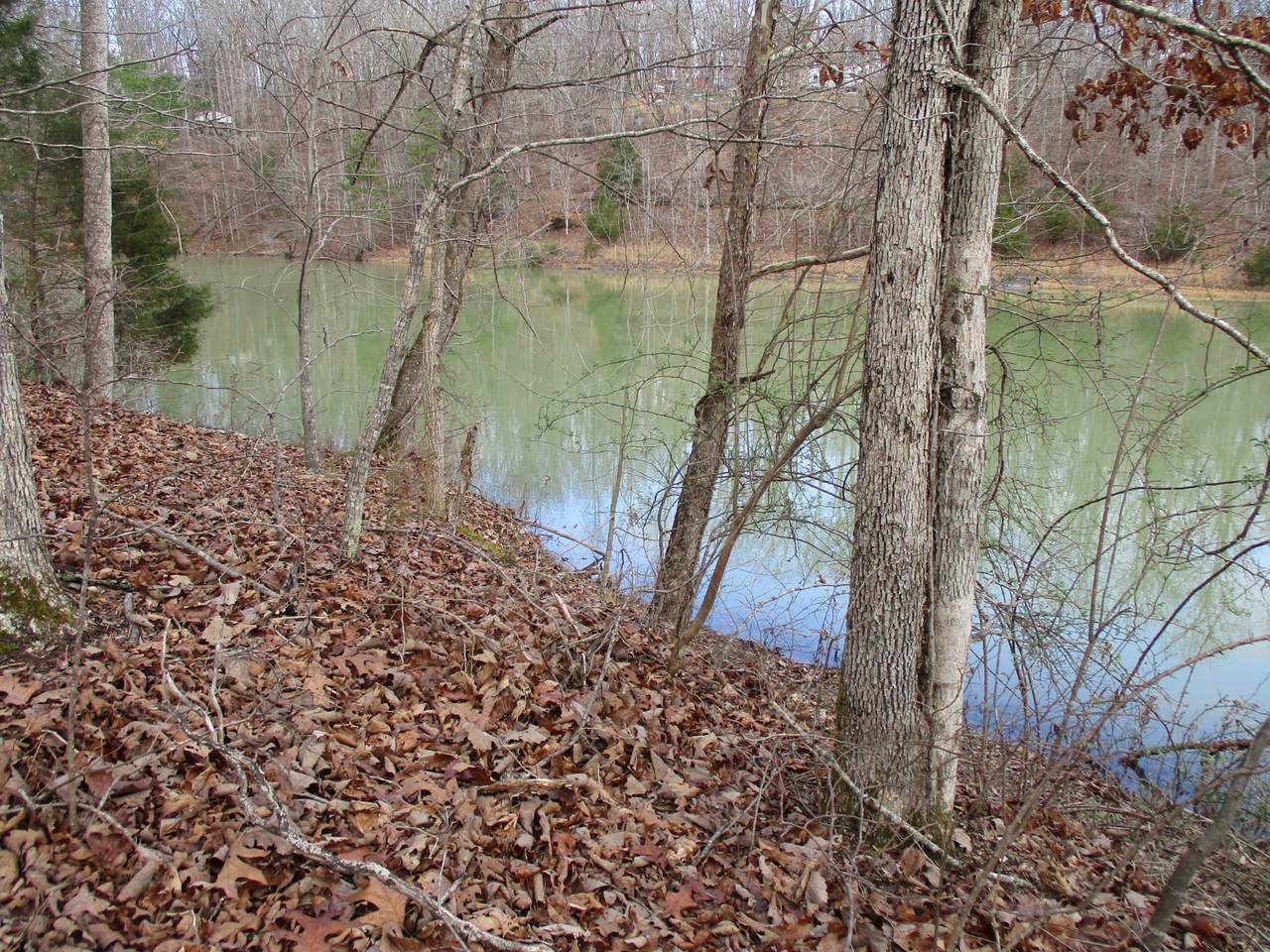 https://bt-photos.global.ssl.fastly.net/nashville/1280_boomver_1_RTC3146509-1.jpg