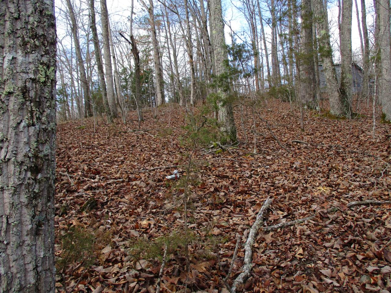 https://bt-photos.global.ssl.fastly.net/nashville/1280_boomver_1_RTC3146509-1.jpg